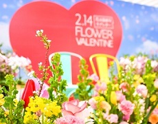 写真：フラワーバレンタインイメージ