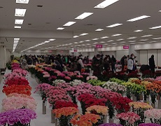 写真：関花展イメージ