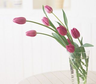 写真：コップイメージ