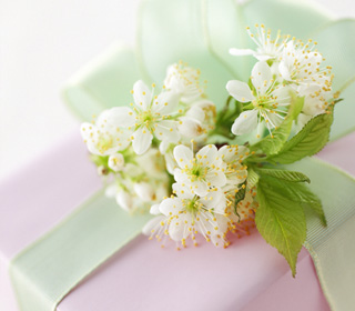 写真：ホワイトデーイメージ