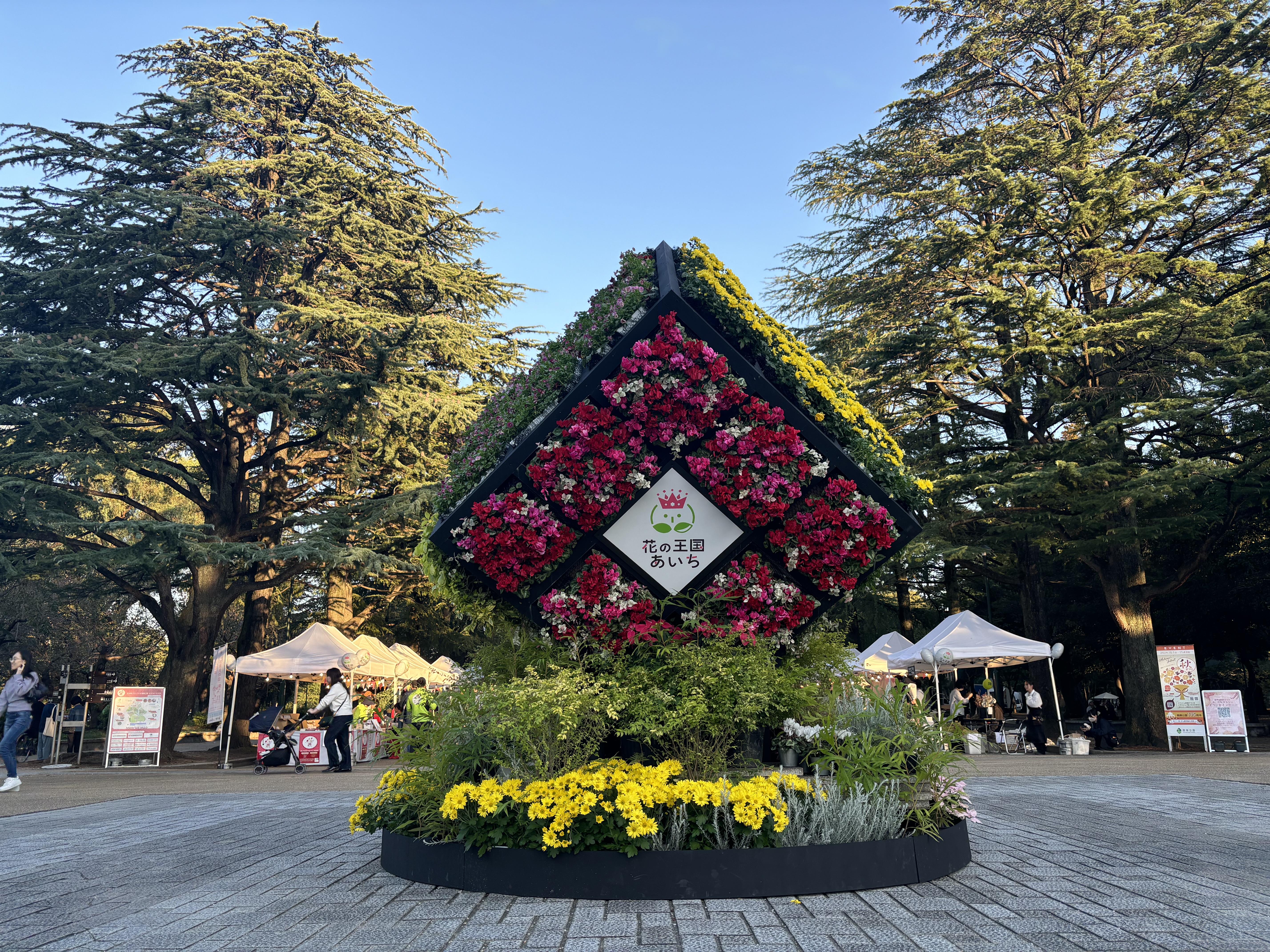 メインディスプレイ