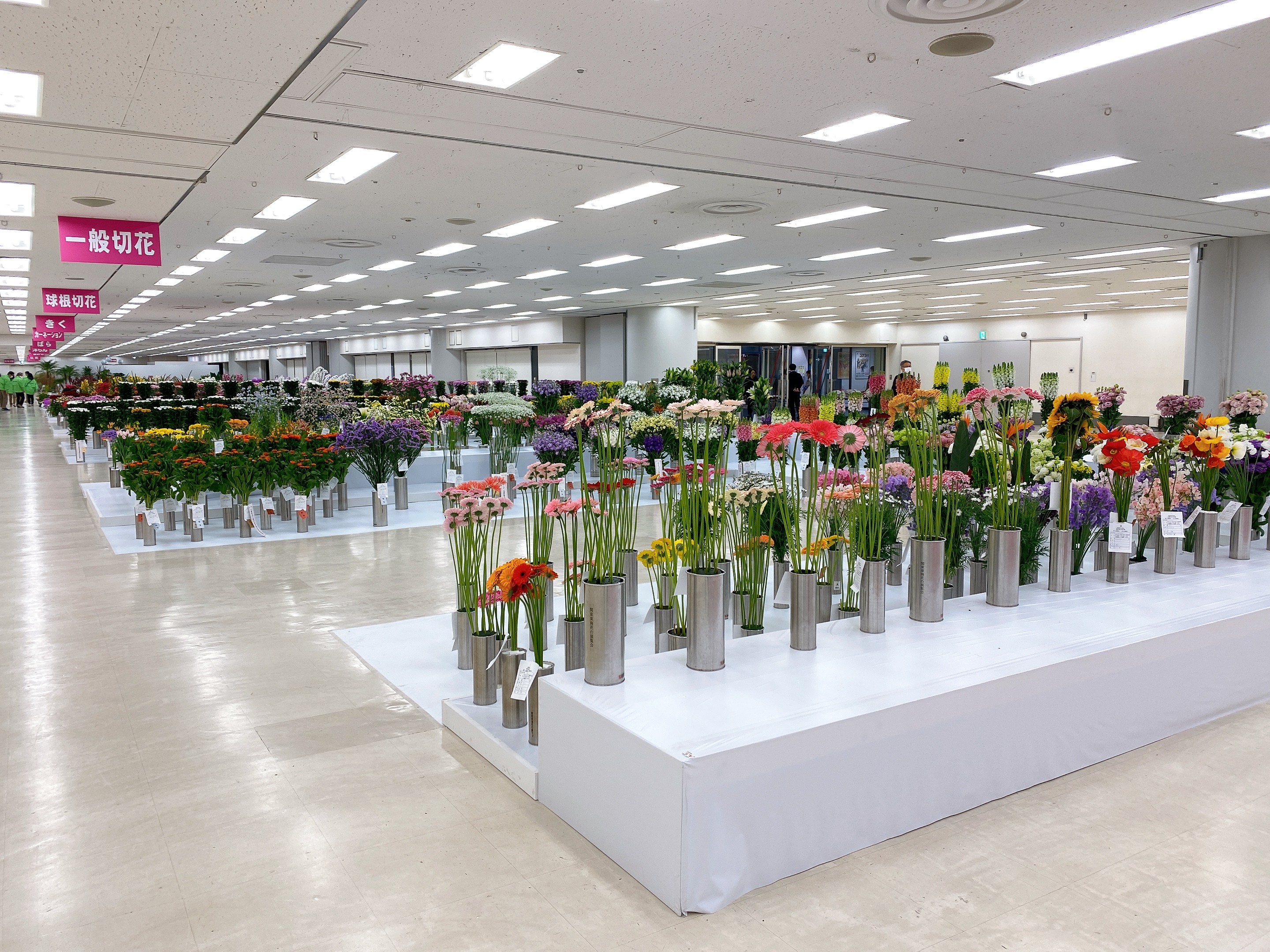 フォトスポット